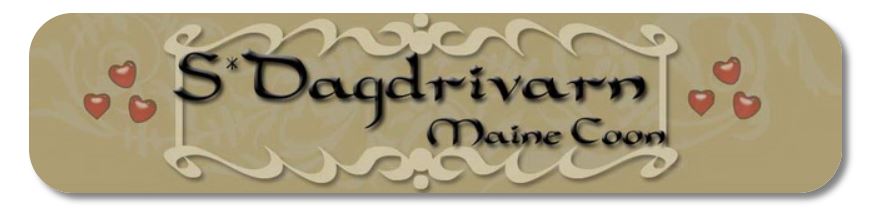 dagdrivarnlogo