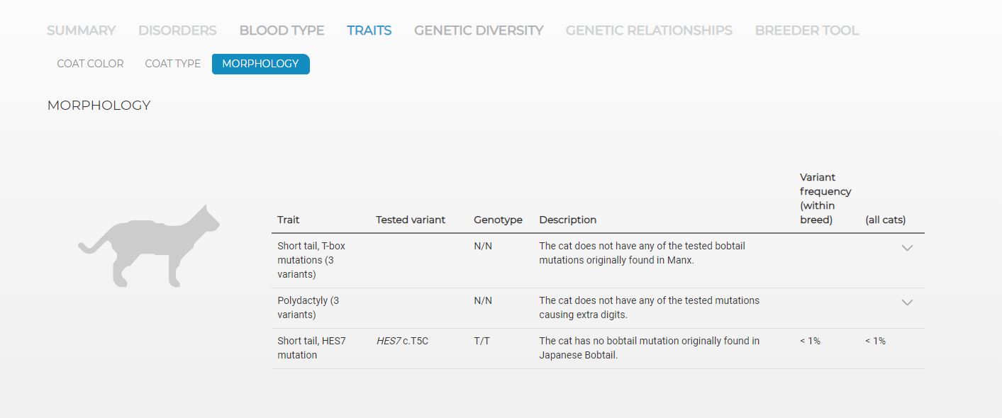 traitsmorphology